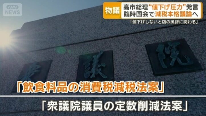 臨時国会で焦点となる2つの法案