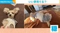 穏やかな寝顔とは真逆に激しく動く犬の尻尾 普段の倍の速度で“喜び”を表現する姿に飼い主「幸せな気持ちになった」