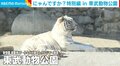 今だけの貴重な姿が満載！ 赤ちゃんザルや“金運が上がる!?”黄金のヘビともふれあえる施設が話題