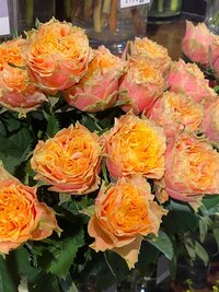 くみっきー『産院の決め手。』