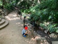 小倉優子『⭐︎今日は⭐︎』