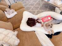 辻希美『可愛い』