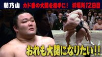朝乃山が豪栄道に勝利