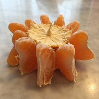 井上和香　父から教わった難易度高いみかんの剥き方「シャンデリア」公開