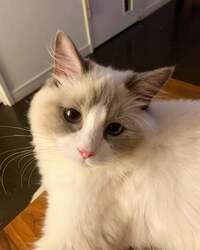 遠野なぎこ『『“転倒”』』