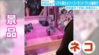 けやきヒルズ - 最新NEWS - 中国各地で動物虐待? クレーンゲームでネコに宅配便にイヌ (19/02/01) | 動画視聴は【Abemaビデオ(AbemaTV)】