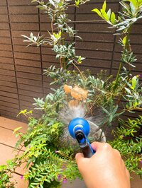 堀ちえみ『こんな日もあるさ！』