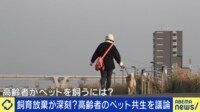 「高齢者はペットを飼っちゃダメ？」深刻化する飼育放棄の実態とは