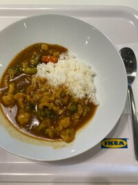 原田龍二の嫁『お買い物 IKEA コストココース』