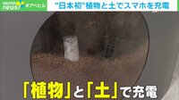 【映像】未来のエネルギー!? “植物発電”の仕組み