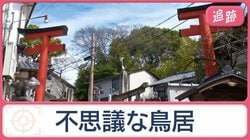 京都「謎の鳥居」を追跡　“ある事情”で2つに分断？　不思議な光景のまさかのワケ