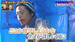 3種の漬け、炙り握り…無人島でサメ寿司を握る男・ナスD　見事な出来栄えにバイきんぐ小峠「美味そう」