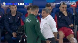 何があった？ ジャッジに猛抗議でイエローカードをもらっても“かわいすぎ”なストイコビッチ監督の姿にファン大ウケ「さすがピクシー」「テディベアみたい」