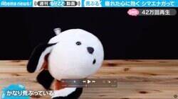 可愛いのに荒ぶる“珍シマエナガ”爆誕  “高速ブルブル”で大暴れする姿にそれでも「癒されるワ〜」と予想外の反響