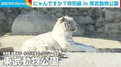 今だけの貴重な姿が満載！ 赤ちゃんザルや“金運が上がる!?”黄金のヘビともふれあえる施設が話題