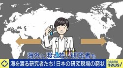 優秀な日本人研究者が海外に“頭脳流出”する是非 トップクラス研究者「若いうちに海外に行くべき」「日本とアメリカの大学の違いは層の厚さ」帰国後に活躍できる環境整備の重要性