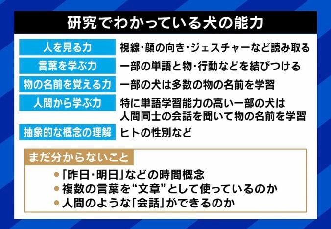 研究でわかっている犬の能力（一例）