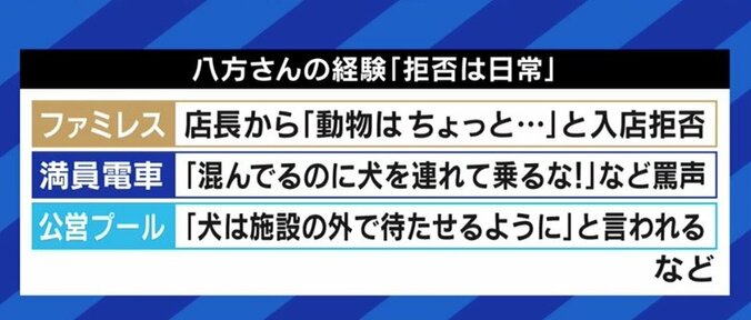 “同伴可”のレストランなのに“入店拒否”も…視覚障害者の女性「私のパートナー、盲導犬の姿を知って」 3枚目