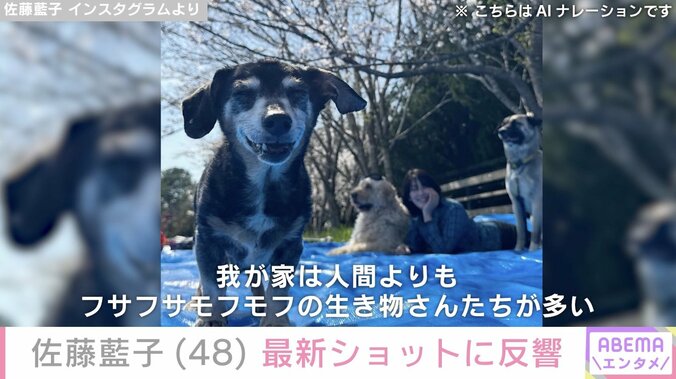 佐藤藍子（48）、お花見をする最新ショットに「変わらない美しさ」「久しぶりかわい～い！」などの声 4枚目