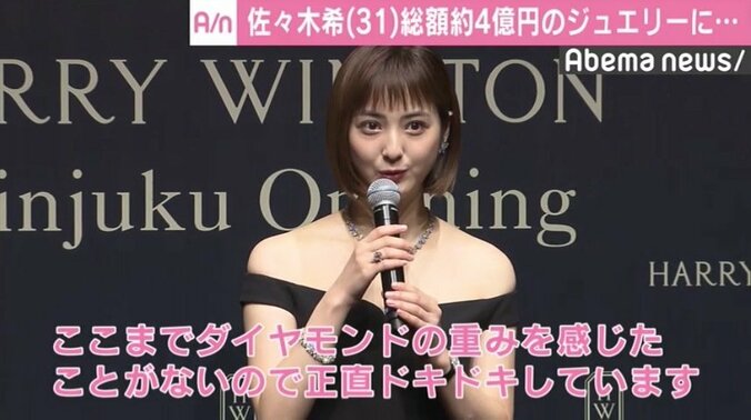 佐々木希、総額約4億円のジュエリーに「ここまでダイヤモンドの重みを感じたことがない」「正直ドキドキ」 1枚目