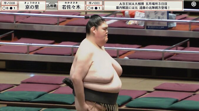 「足が細すぎるよ」「お尻が小さい」185センチ巨漢力士、“ほっそり”美脚にファン注目 2枚目