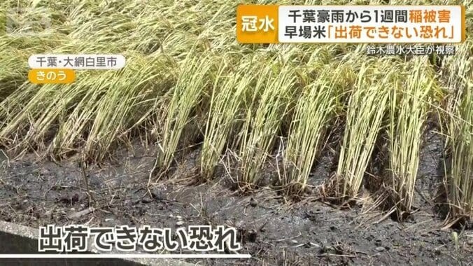 出荷できなくなる恐れ
