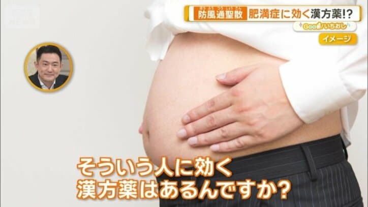 肥満症への効果が期待される漢方は？
