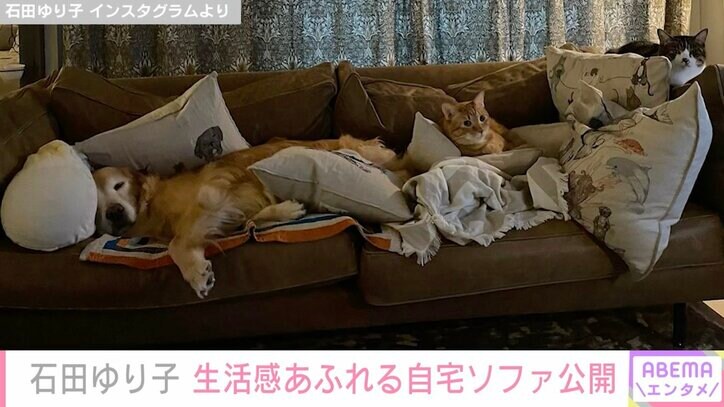 石田ゆり子、生活感あふれる自宅ソファ公開 くつろぐペットの様子に「このスリーショットは貴重!?」「幸せなだらだら」の声