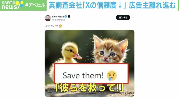 【写真・画像】マスク氏がまた“虚偽拡散”「猫の画像」投稿の意図は？ 信頼低下で広告主は“Ｘ離れ”が急加速　1枚目