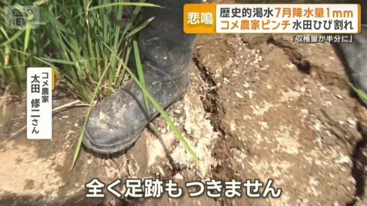 「全く足跡もつきません」
