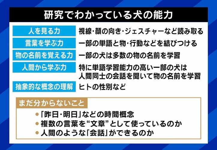 研究でわかっている犬の能力（一例）