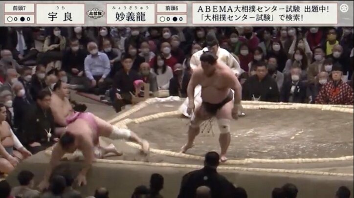 ボンボン持参で推し力士を応援→敗れた瞬間のがっくり姿に相撲ファンが注目「宇良女子しょんぼり」