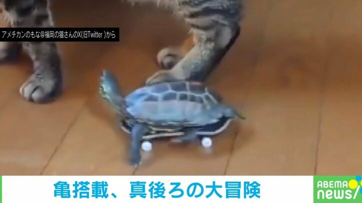 【写真・画像】 2枚目