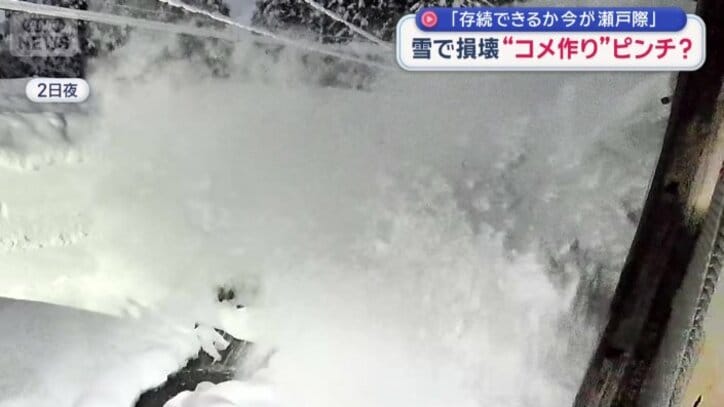 一斉に雪が落下