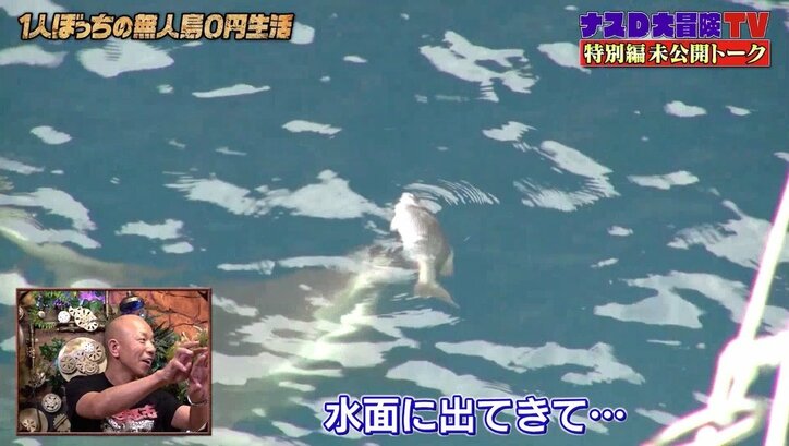 ナスD「かなり命がけ」サメの捕食を間近で目撃…海中で直接対決も