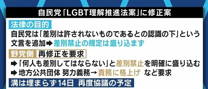 自民党が成立目指す「LGBT理解増進法案」、“差別禁止”の規定は盛り込むべき?当事者や関係者でも割れる意見