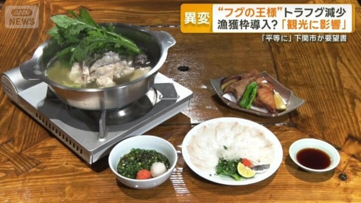 「フグの王様」とも呼ばれるトラフグの料理