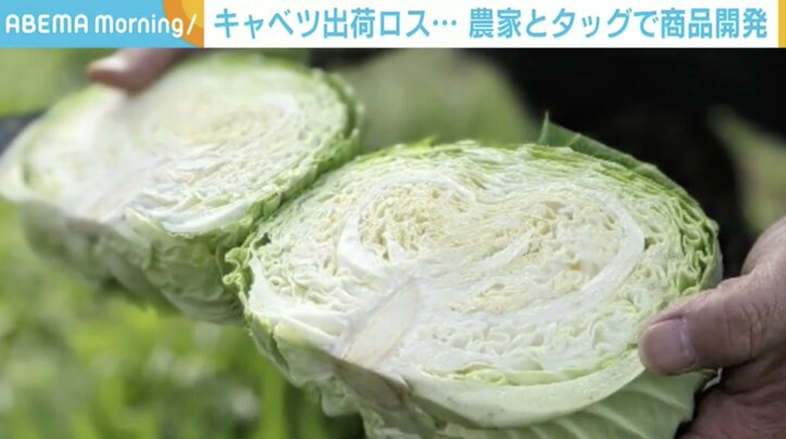 余剰キャベツの「もったいない」をなくすために…農家と企業がタッグ！ 新商品開発の裏側