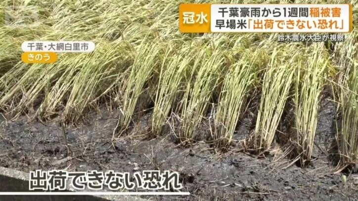 出荷できなくなる恐れ