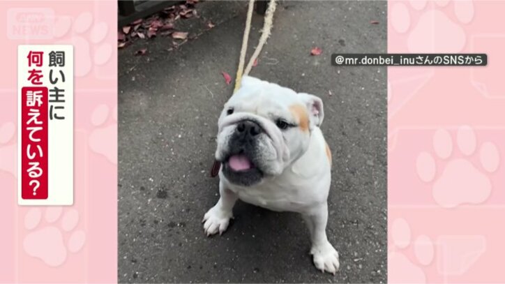 何を訴えてるの？