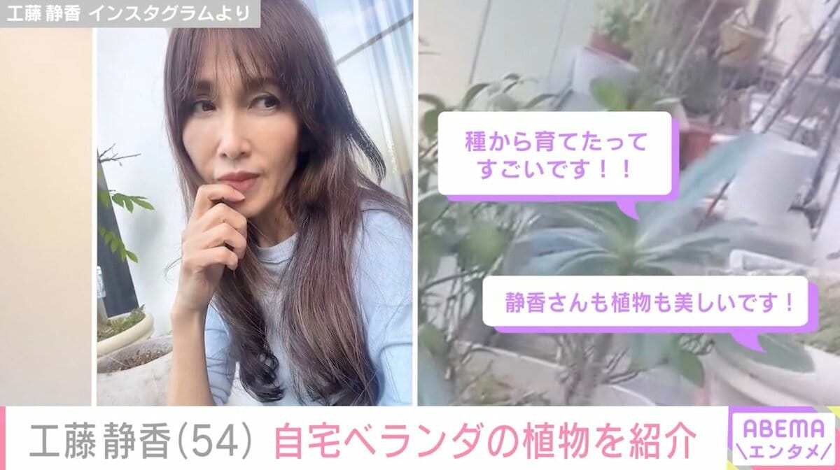 工藤静香（54）、自宅ベランダで育てている植物を紹介「静香さんも植物も美しいです！」など反響 | エンタメ総合 | ABEMA TIMES |  アベマタイムズ