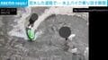 川かと思いきや…冠水した道路→“水上バイク”で街中を暴走する大迷惑行為に住民激怒 タイ