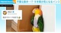 “すき間好き”なインコ 引き戸に吸い寄せられ…ズルズルペタッ 不審な動きに飼い主「覗き方がベタ過ぎる」