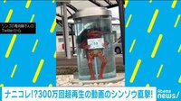けやきヒルズ【平日ひる12時~生放送】 - ネットピ - ゆるキャラ?妖怪じゃん...駅前になぜ? | 【ABEMAビデオ】見逃した番組や話題のニュースが無料で視聴可能