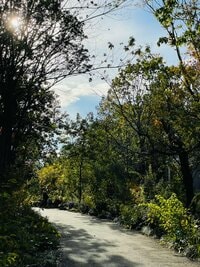 だいたひかる『病院へ』