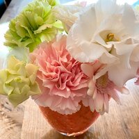 堀ちえみ『こんなお花初めて見た！』