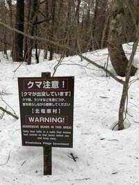 広田レオナ『美しい森と沼』