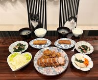 藤あや子『昨日の晩ごはん』