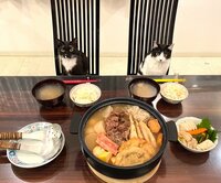 藤あや子『昨日の晩ごはん』