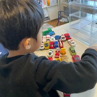 桜井奈々『セリアで爆買いしたもの』